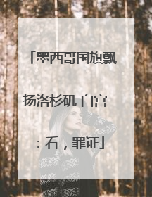 墨西哥国旗飘扬洛杉矶 白宫：看，罪证