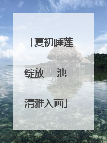 夏初睡莲绽放 一池清雅入画