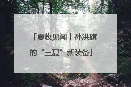 夏收见闻丨孙洪旗的“三夏”新装备