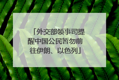 外交部领事司提醒中国公民暂勿前往伊朗、以色列