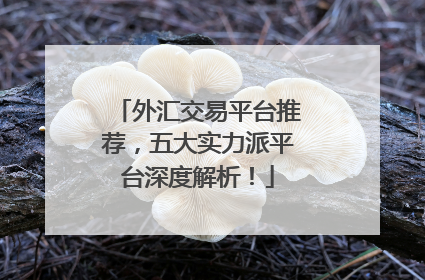 外汇交易平台推荐，五大实力派平台深度解析！