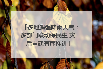 多地遇强降雨天气：多部门联动保民生 灾后重建有序推进