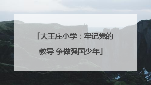 大王庄小学：牢记党的教导 争做强国少年