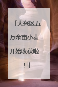 大兴区五万余亩小麦开始收获啦！
