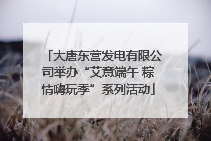 大唐东营发电有限公司举办“艾意端午 粽情嗨玩季”系列活动