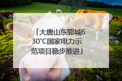 大唐山东郓城630℃国家电力示范项目稳步推进