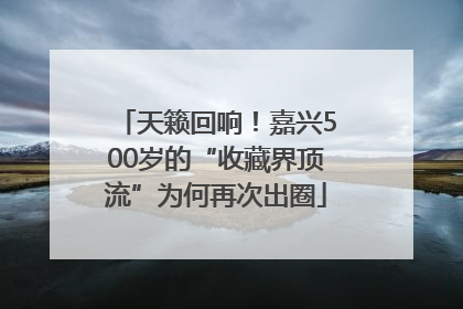 天籁回响！嘉兴500岁的“收藏界顶流”为何再次出圈