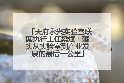 天府永兴实验室联席执行主任梁斌：落实从实验室到产业发展的最后一公里