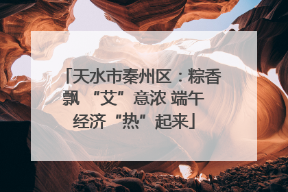 天水市秦州区：粽香飘 “艾”意浓 端午经济“热”起来