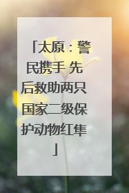 太原：警民携手 先后救助两只国家二级保护动物红隼