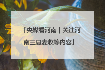 央媒看河南｜关注河南三夏麦收等内容