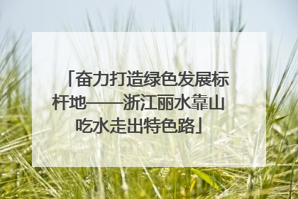 奋力打造绿色发展标杆地——浙江丽水靠山吃水走出特色路