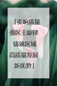 奏响质量强区主旋律 铸就区域高质量发展新优势