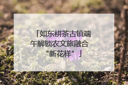 如东栟茶古镇端午解锁农文旅融合“新花样”