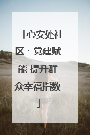 心安处社区：党建赋能 提升群众幸福指数