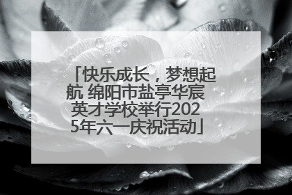 快乐成长，梦想起航 绵阳市盐亭华宸英才学校举行2025年六一庆祝活动