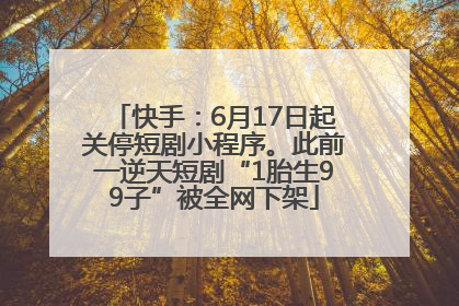 快手：6月17日起关停短剧小程序。此前一逆天短剧“1胎生99子”被全网下架