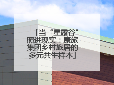 当“星露谷”照进现实：康旅集团乡村旅居的多元共生样本