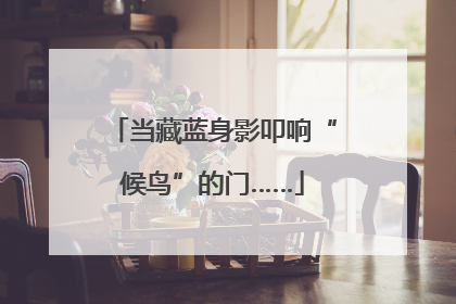 当藏蓝身影叩响“候鸟”的门……