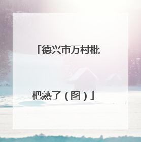 德兴市万村枇杷熟了（图）