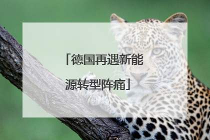 德国再遇新能源转型阵痛