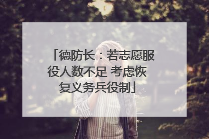 德防长：若志愿服役人数不足 考虑恢复义务兵役制