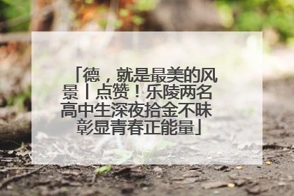 德，就是最美的风景丨点赞！乐陵两名高中生深夜拾金不昧 彰显青春正能量
