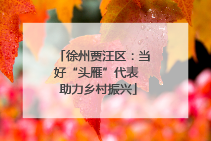 徐州贾汪区：当好“头雁”代表 助力乡村振兴
