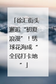 徐汇街头邂逅“初夏浪漫”！绣球花海成“全民打卡地”