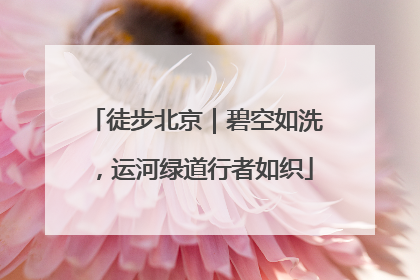 徒步北京｜碧空如洗，运河绿道行者如织