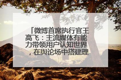 微博首席执行官王高飞：主流媒体有能力带领用户认知世界，在舆论场中搭建理性的讨论空间