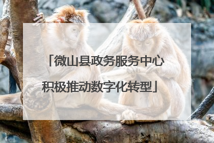 微山县政务服务中心积极推动数字化转型