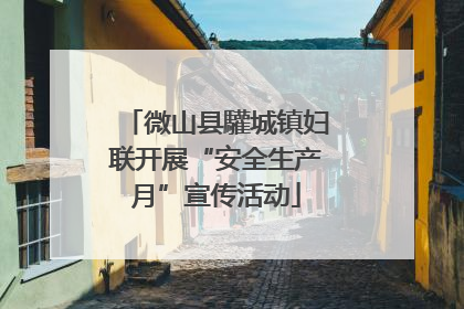 微山县驩城镇妇联开展“安全生产月”宣传活动