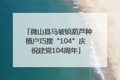 微山县马坡镇葫芦种植户巧摆“104”庆祝建党104周年
