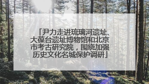 尹力走进琉璃河遗址、大葆台遗址博物馆和北京市考古研究院，围绕加强历史文化名城保护调研