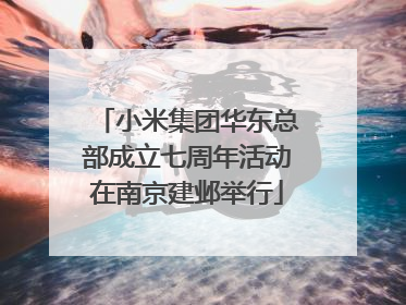 小米集团华东总部成立七周年活动在南京建邺举行