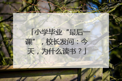 小学毕业“最后一课”，校长发问：今天，为什么读书？