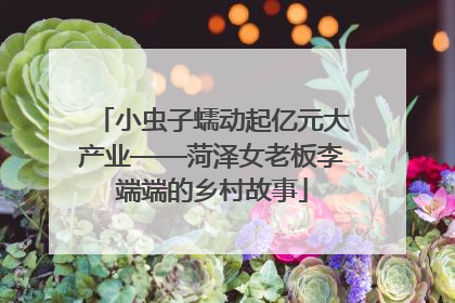 小虫子蠕动起亿元大产业——菏泽女老板李端端的乡村故事