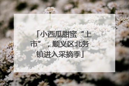 小西瓜甜蜜“上市”，顺义区北务镇进入采摘季