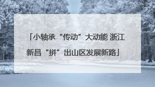 小轴承“传动”大动能 浙江新昌“拼”出山区发展新路