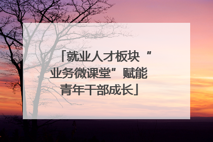就业人才板块“业务微课堂”赋能青年干部成长