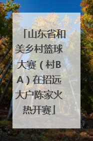 山东省和美乡村篮球大赛（村BA）在招远大户陈家火热开赛