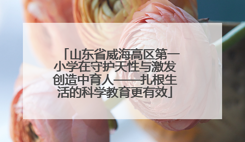 山东省威海高区第一小学在守护天性与激发创造中育人——扎根生活的科学教育更有效