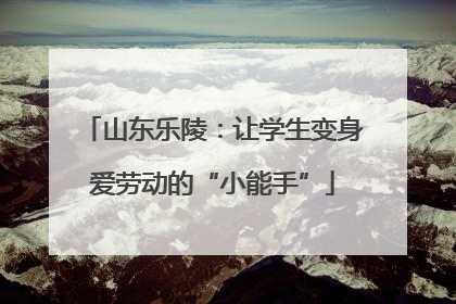 山东乐陵：让学生变身爱劳动的“小能手”