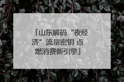 山东解码“夜经济”流量密钥 点燃消费新引擎