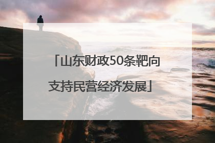 山东财政50条靶向支持民营经济发展