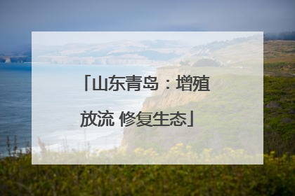 山东青岛：增殖放流 修复生态
