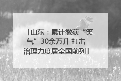 山东：累计缴获“笑气”30余万升 打击治理力度居全国前列