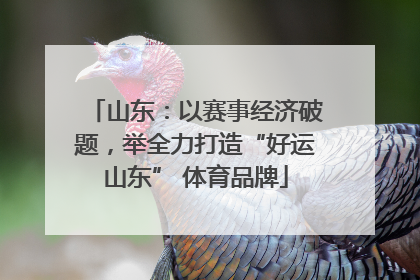 山东：以赛事经济破题，举全力打造“好运山东” 体育品牌