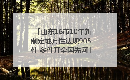 山东16市10年新制定地方性法规905件 多件开全国先河